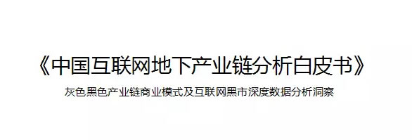 一份报告《中国互联网地下产业链分析白皮书》在网络上被疯传 互联网 微新闻 第1张
