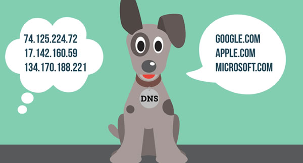 国内外免费DNS域名解析服务汇总 域名 DNS 好文分享 第1张