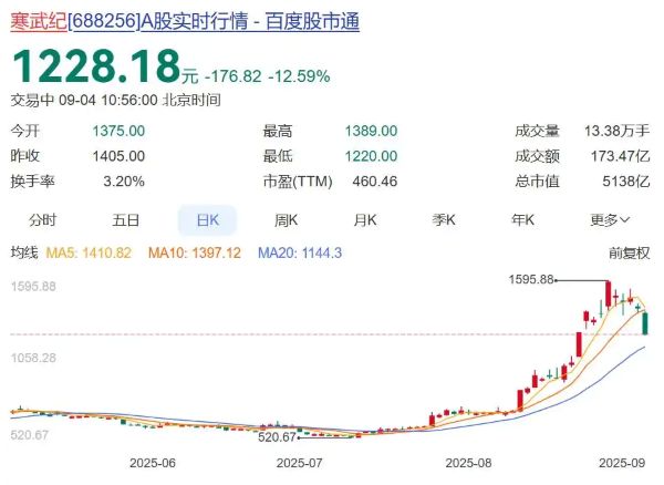AI芯片第一股？寒武纪5000亿的闹剧 IT业界 第2张