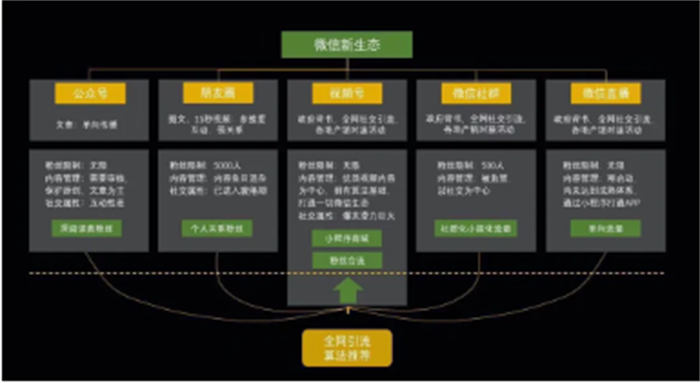 视频号1小时涨100粉经验，人人都能复制 视频号 短视频 博客运营 第1张