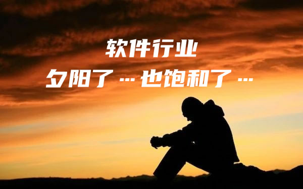 中小软件公司批量倒闭，中年程序员出来能干啥？ IT公司 IT职场 微新闻 第1张