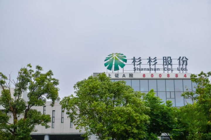 43岁后妈‘吃掉’34岁长子，千亿企业杉杉集团濒临崩盘 互联网坊间八卦 创业 微新闻 第1张