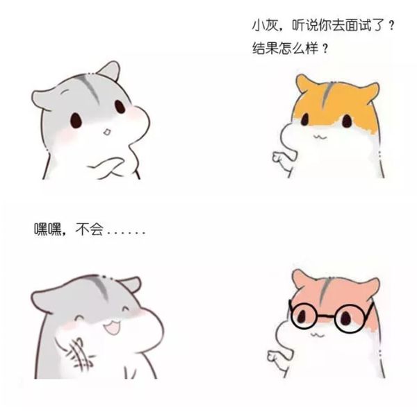 从0到年收入100W+,聊一聊我的副业之路 创业 生活感悟 网络日志 好文分享 第2张 从0到年收入100W+,聊一聊我的副业之路 创业 生活感悟 网络日志 好文分享 第2张