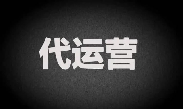 不顺风，但我们还活着：松松团队的2025 卢松松 松松云 博客运营 第4张